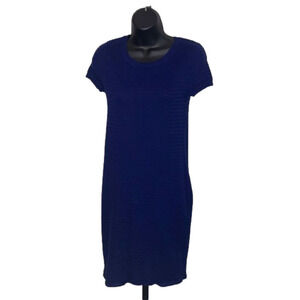 𝅺ANN Taylor Factory Sweater Dress